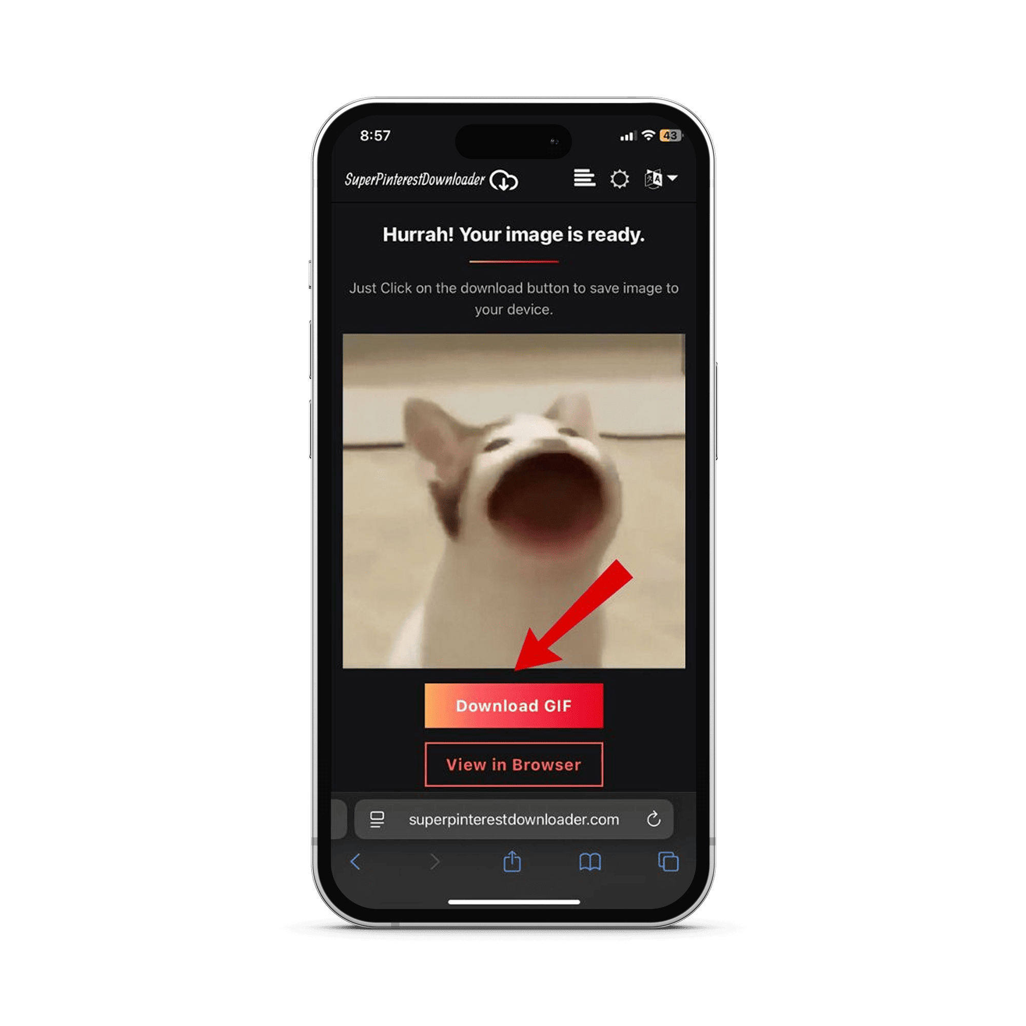 click the download button to save gif into camera roll