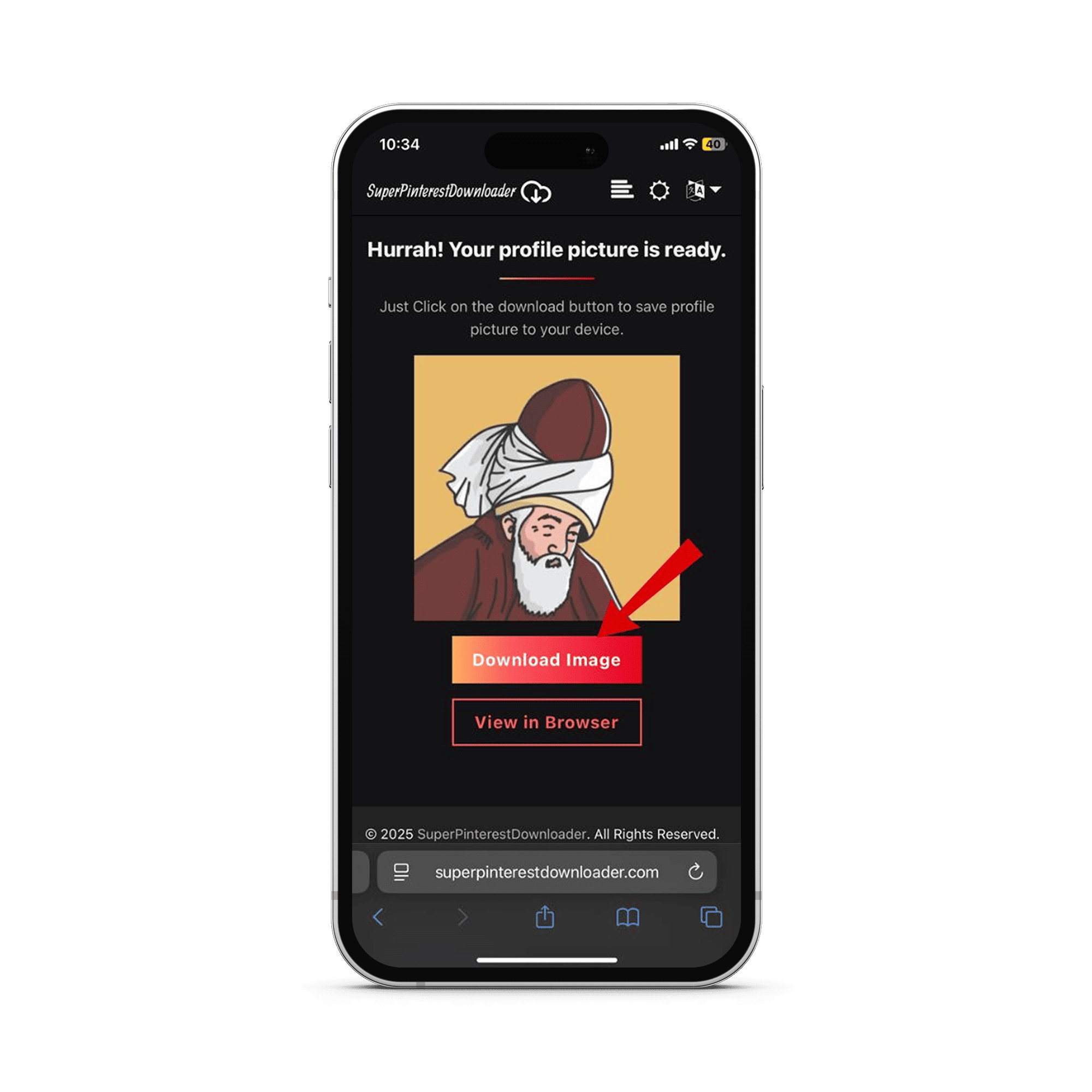 click download button to save profile picture